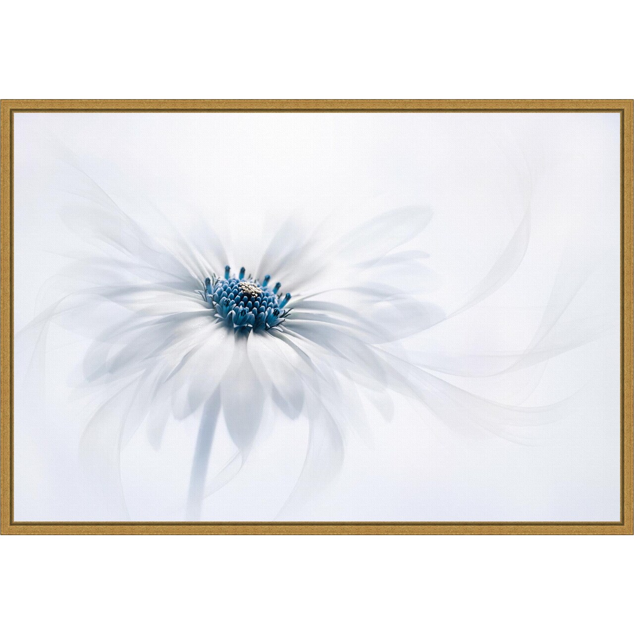 Serene White Flower by Jacky Parker 23-in. W x 16-in. H. Canvas Wall Art Print Framed in Gold